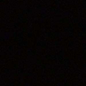 Meet your Posher, Gus